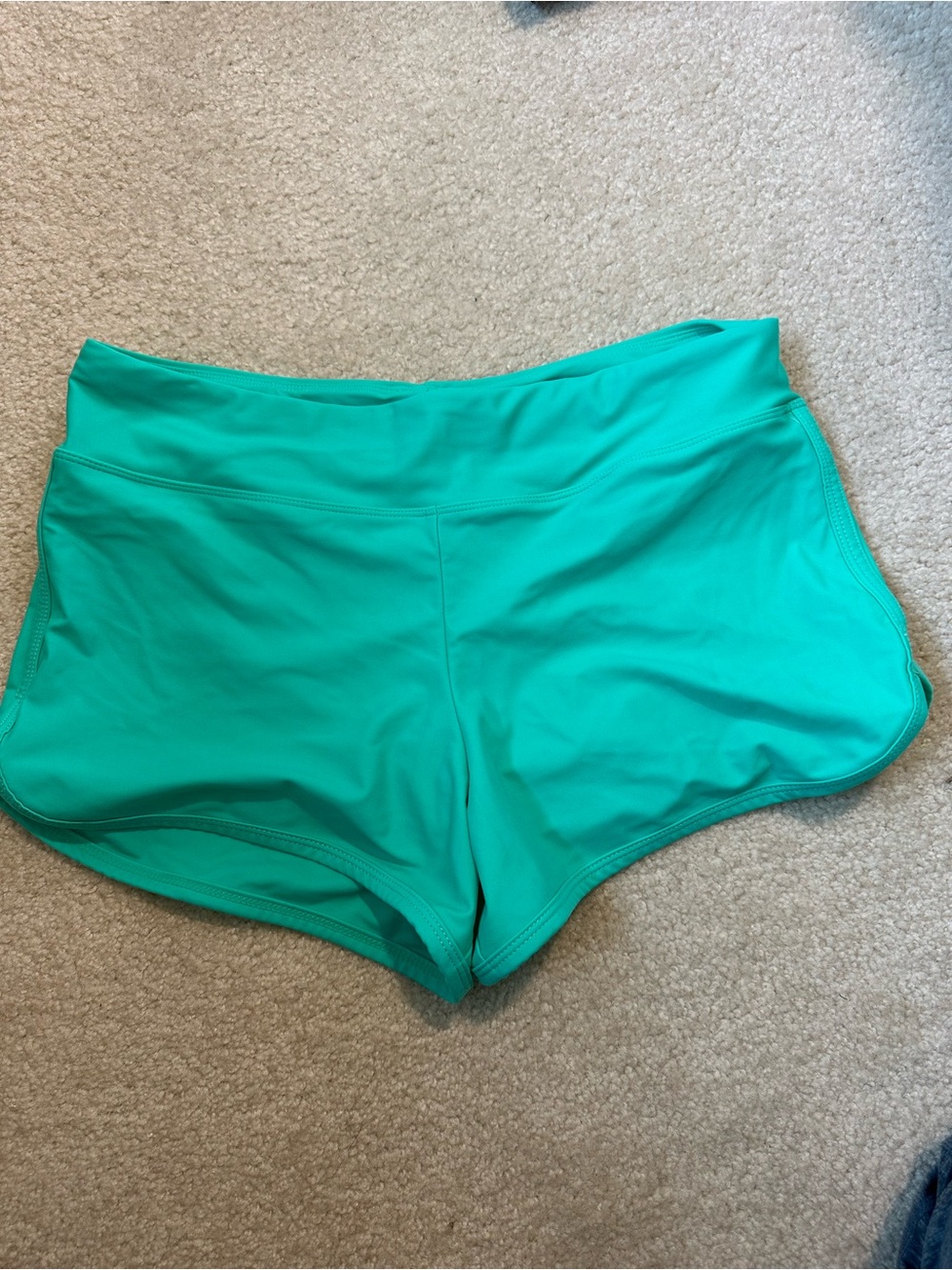 Carve Designs Women's Turquoise Swim Shorts